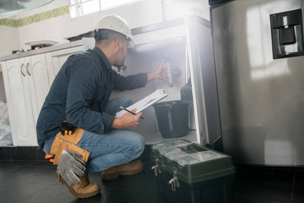 Best Residential Plumbing Services  in Buffalo Grove, IL